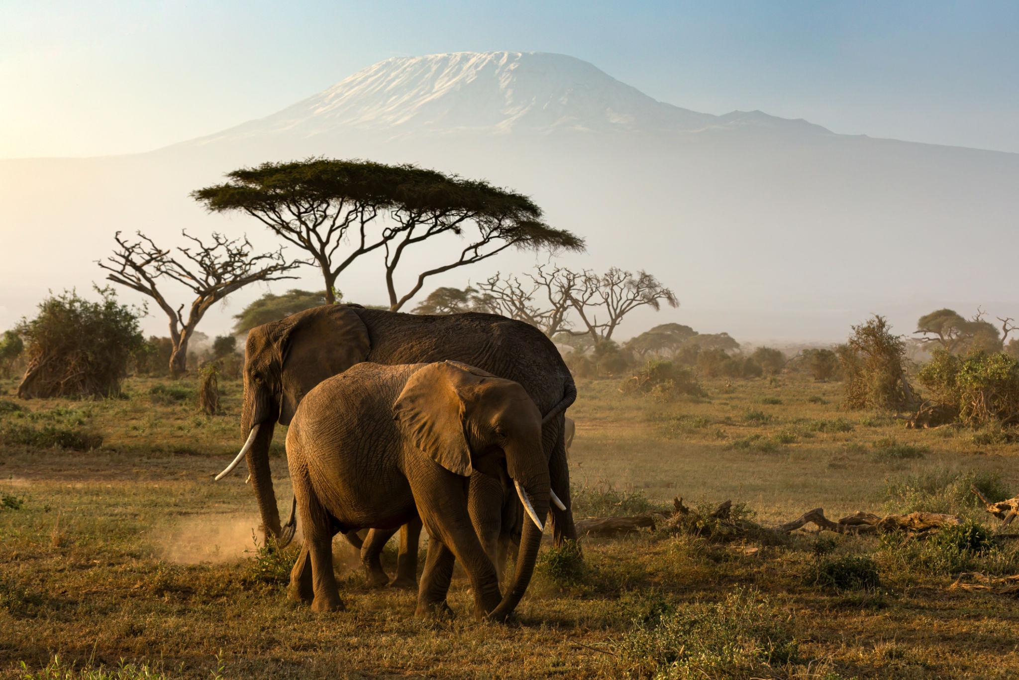 Maasai Mara
