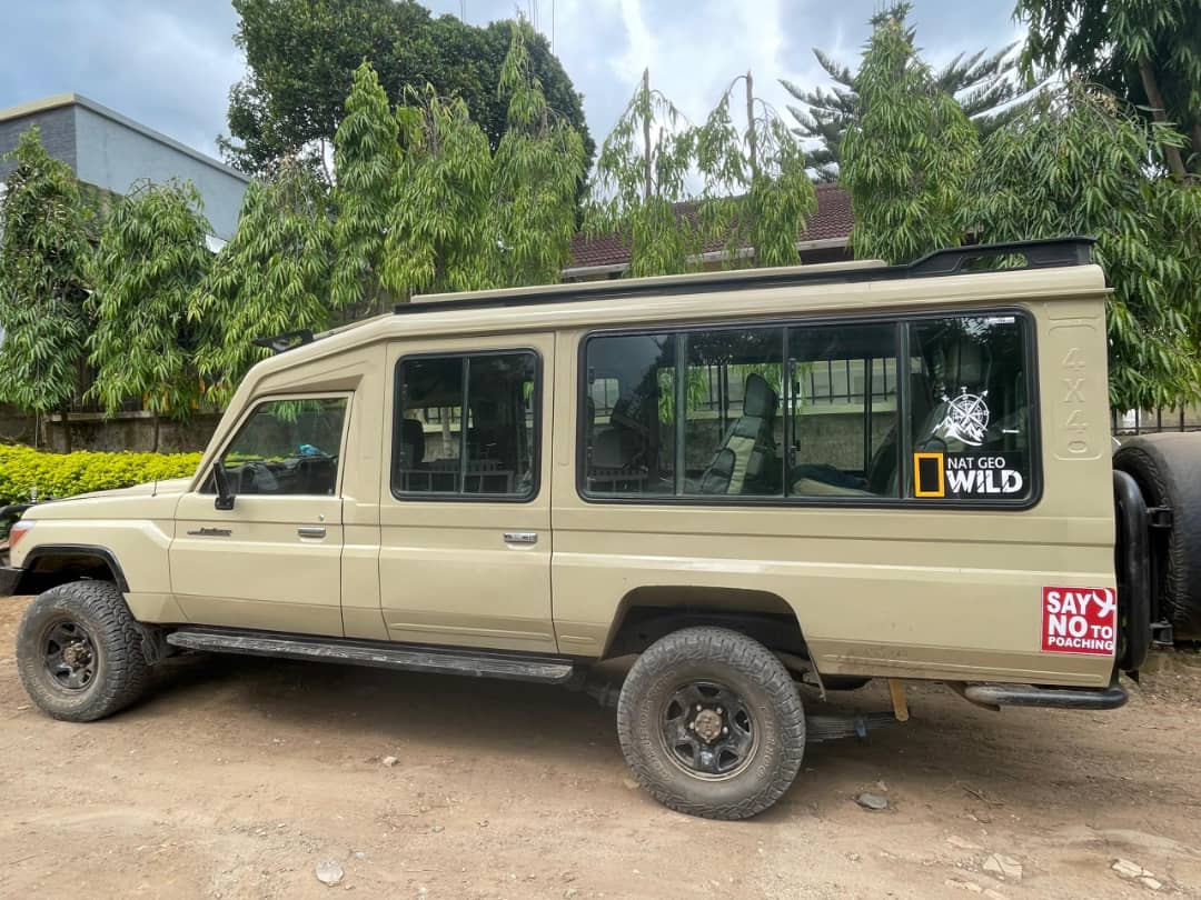 Pop-Top Safari Land Cruicer